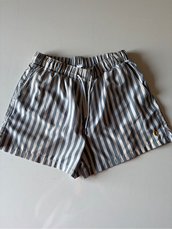 Thrst Other - Thrst swim trunks white blue striped shorts mesh lining men’s size large *flaw